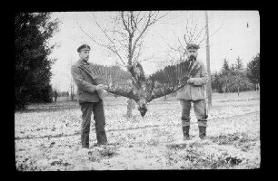 bei Bialowiesk (?) (=Bia³owie¿a, Polen): 2 Offiziere mit Schirmmütze mit einem kopfüber an den Flügeln auseinandergehaltenen "erlegten Seeadler"