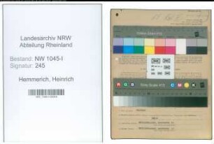Entnazifizierung Heinrich Hemmerich , geb. 20.11.1901 (Ingenieur)