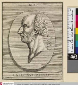 CAIO SVLPITIO