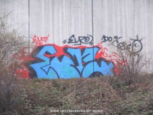 Euro