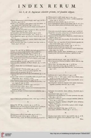 Index rerum