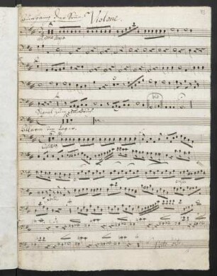 Violone
