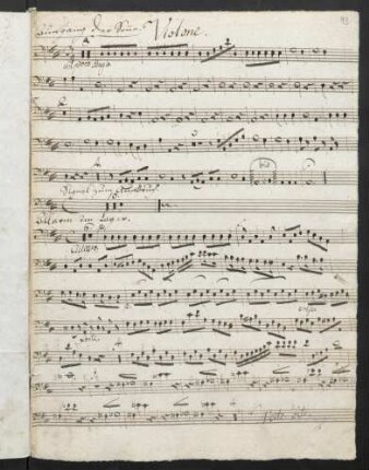 Violone