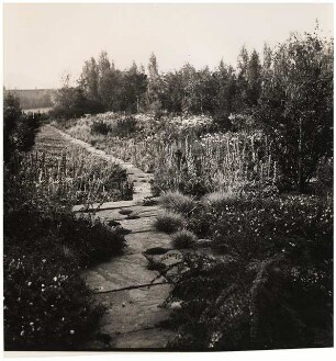 Garten Thiele, Goslar: Gartenweg