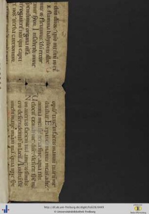 [Freistehender Ansatzfalz] Fragmente einer lateinischen Pergament-Hs. des 11. Jhs (Ps. 142,5 - 143,9; mit später hinzugefügten St. Galler Neumen zum Beginn von Ps. 143).