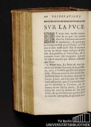 Svr La Pvce.