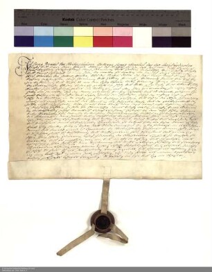Revers Georg Bernhards von Weitershausen bezüglich der Belehnung mit der Wüstung Niedlingen durch Placidus [von Droste], Abt von Fulda