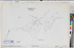 Dingden (Hamminkeln), Flurbereinigung Dingden, Bl.29 Schätzungsriß Ringenberg Flur 1