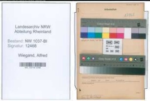 Entnazifizierung Alfred Wiegand , geb. 30.03.1903 (Ingenieur)