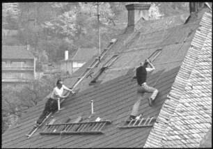 Dachdecker