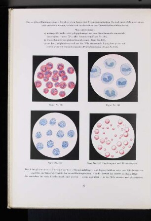 Figur Nr. 142. Erythrocyten ud Thrombocyten.