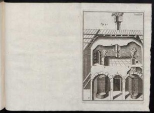 Tab. XIV.