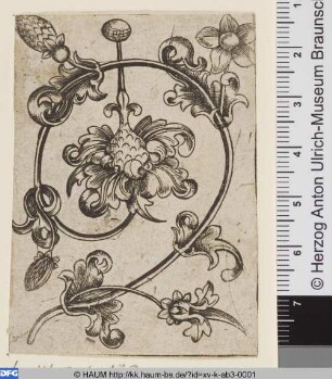 Ornamentranke mit Blumen-Fünf