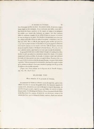 Planches VIII. Masse détachée de la pyramide de Cholula