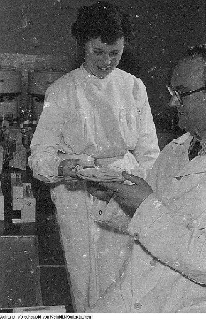 Blutspendedienst, Februar 1956
