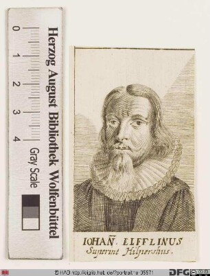 Bildnis Johann Elfflein (Elfflinus)