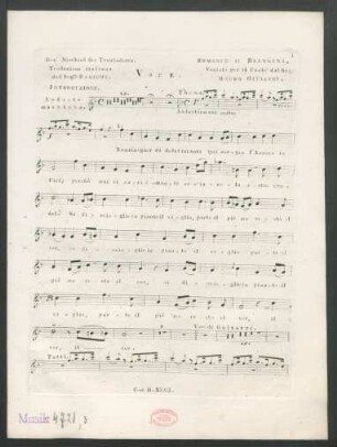 Voce