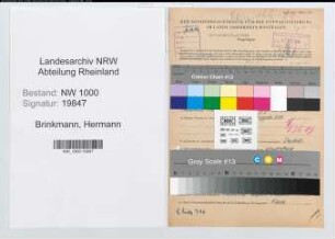 Entnazifizierung Hermann Brinkmann, geb. 27.03.1888 ()