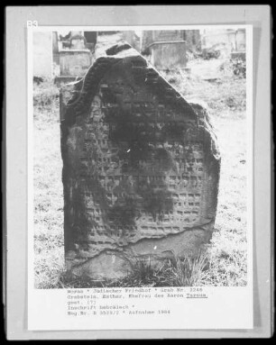 Grabstein von Esther, Ehefrau des Aaron Tarsum