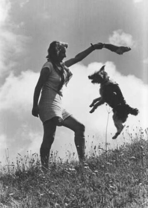 Hund Strupsi mit Erika spielend auf der Wiese