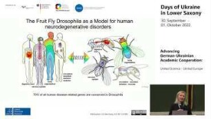 Dissecting the molecular mechanisms of neurodegeneration using a Drosophila neuropathy model