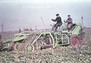 Rübenerntemaschine E 710-1