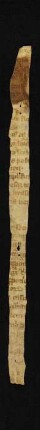 Fragment 2 (Blattstreifen 8, 9): Doctrinale cum commento (14. Jh.)