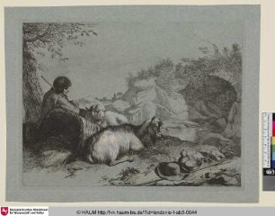 [Die Ziege und der Hammel, beim Korbe der Hirt]