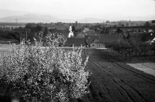 Freiburg, Waltershofen: Von der Höhe auf Waltershofen mit Blütenbaum