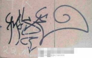 MöSE