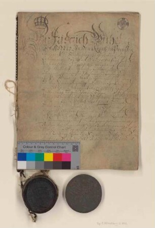 König Friedrich Wilhelm [I.], Markgraf von Brandenburg, bestätigt auf Bitten der Stadt Altlandsberg die von seinen Vorgängern erteilten Rechte und Freiheiten.