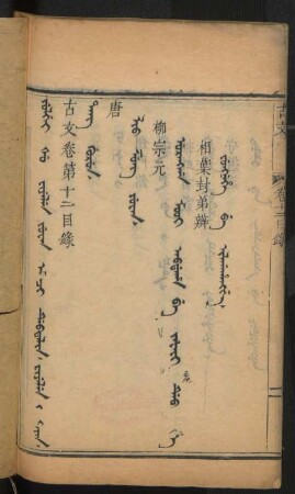 Tang gurun = 唐