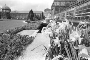 Botanischer Garten. Sonniger Frühlingstag