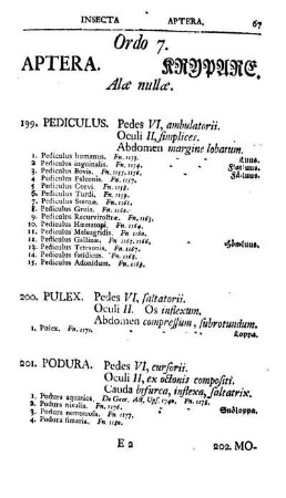 Ordo 7. Aptera