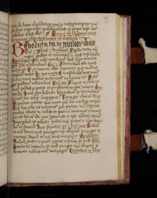 Petrus de Palude: Thesaurus novus.