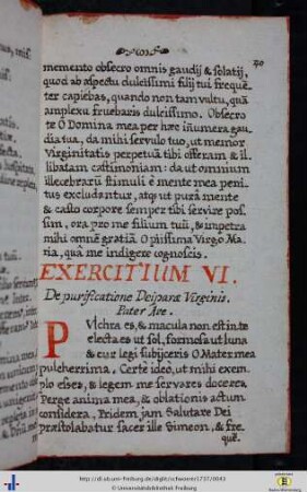 Exercitium VI.