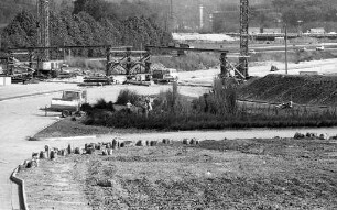 Begrünung der Südtangente zwischen Ottostraße und Höhe des Wasserturms