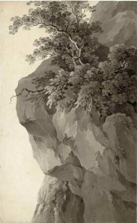 Baumgruppe auf einem Felsvorsprung
