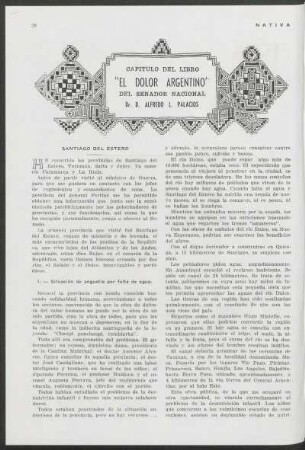 Capítulo del libro "El dolor argentino" del senador nacional
