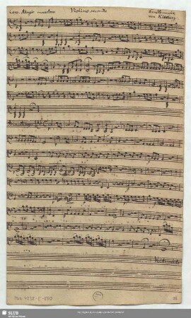 Violino secundo