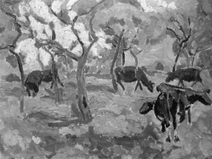 Obstwiese mit Kühen / Kühe auf der Weide