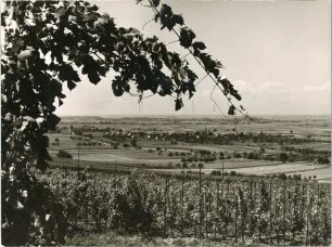 Scherzingen