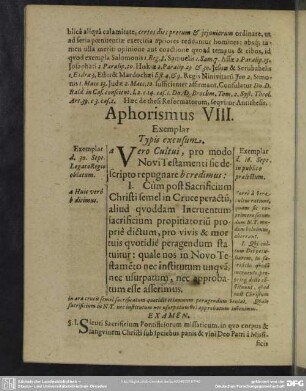 Aphorismus VIII.