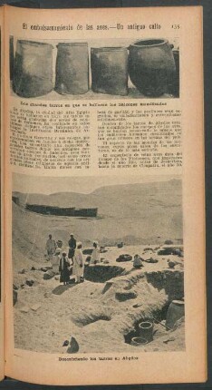 El embalsamamiento de las aves - Un antiguo culto