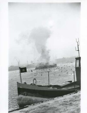 Hamburg. Der Hafen im Winter. Eine Fähre fährt im teilweise vereisten Hafenbecken. Möwen haben es schwer, in dieser Jahreszeit Futter zu finden