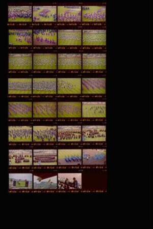 Landesschau: Leichtathletik-Europameisterschaft im Stuttgarter Neckarstadion (26.-31.08.1986)