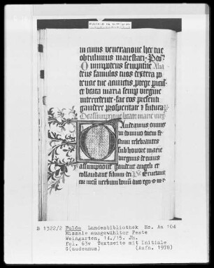 Missale ausgewählter Feste — Initiale G(audeamus), Folio 63verso