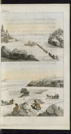 Taf. XVII. 106. -108.