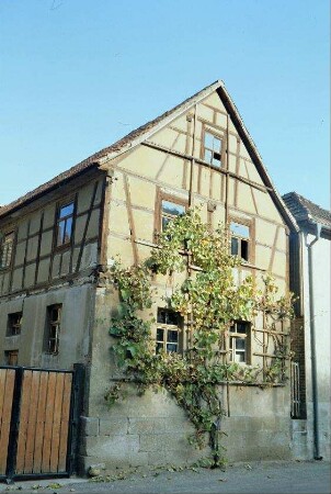 giebelständiges Bauernhaus mit Spalierbaum