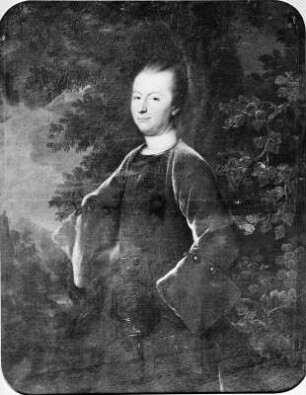 Heinrich Friedrich Graf von Priesen